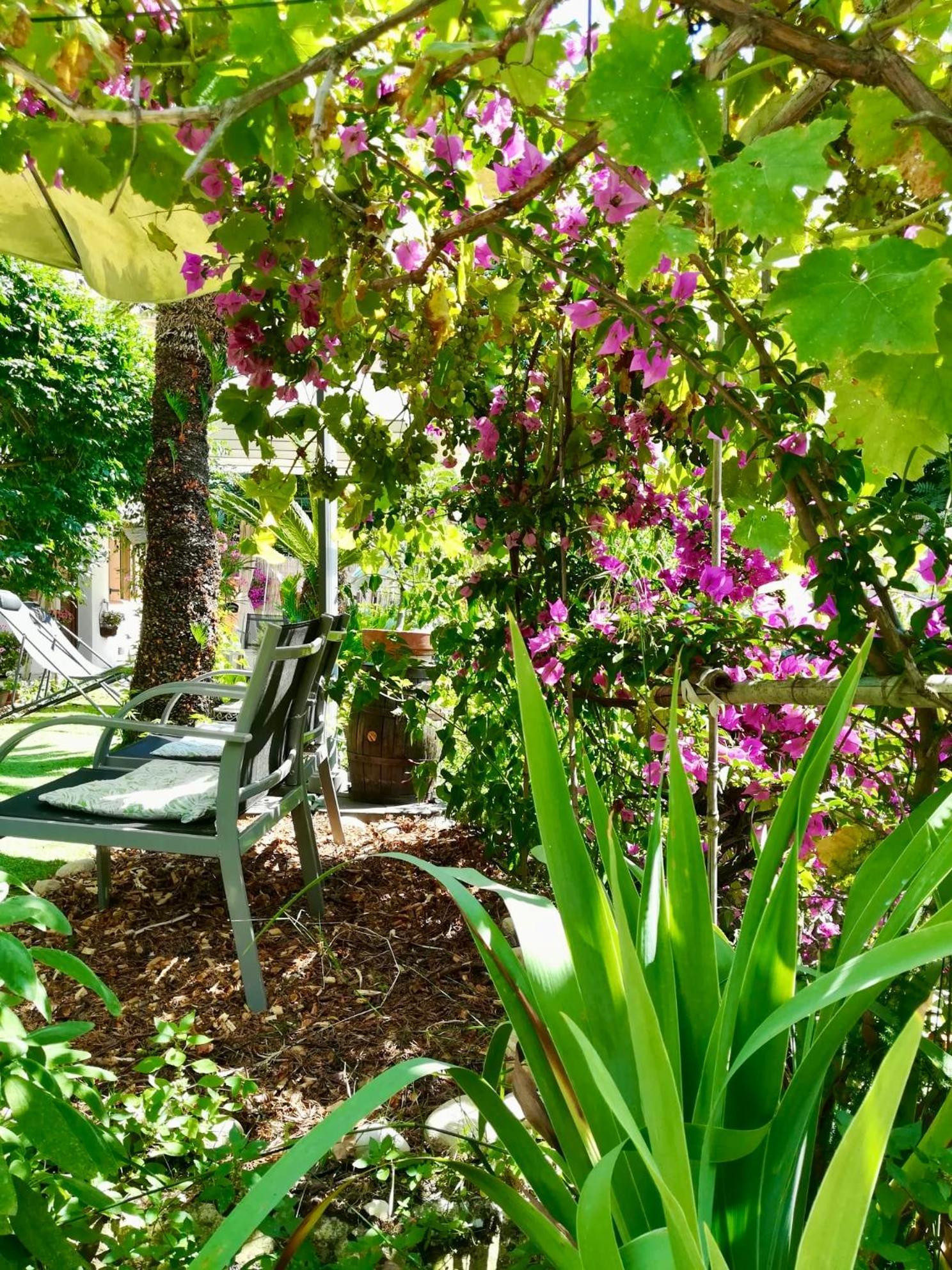 Villa Bellabe Nice Luaran gambar